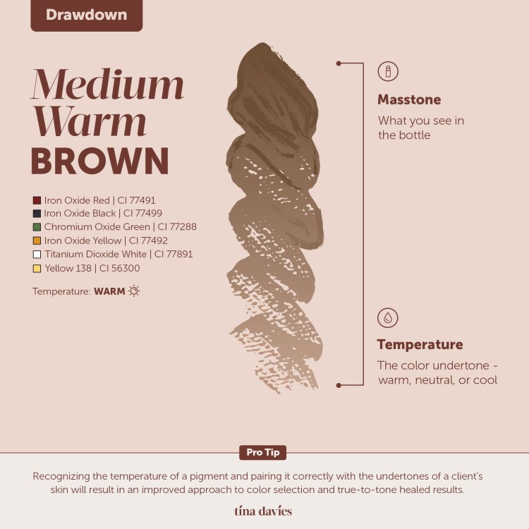 Medium Warm Brown, Drawdown.jpg