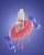 PARHELION.png
